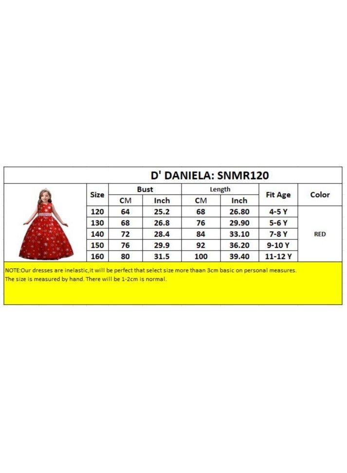 D'Daniela Snowflake Princess Dress - Image 4