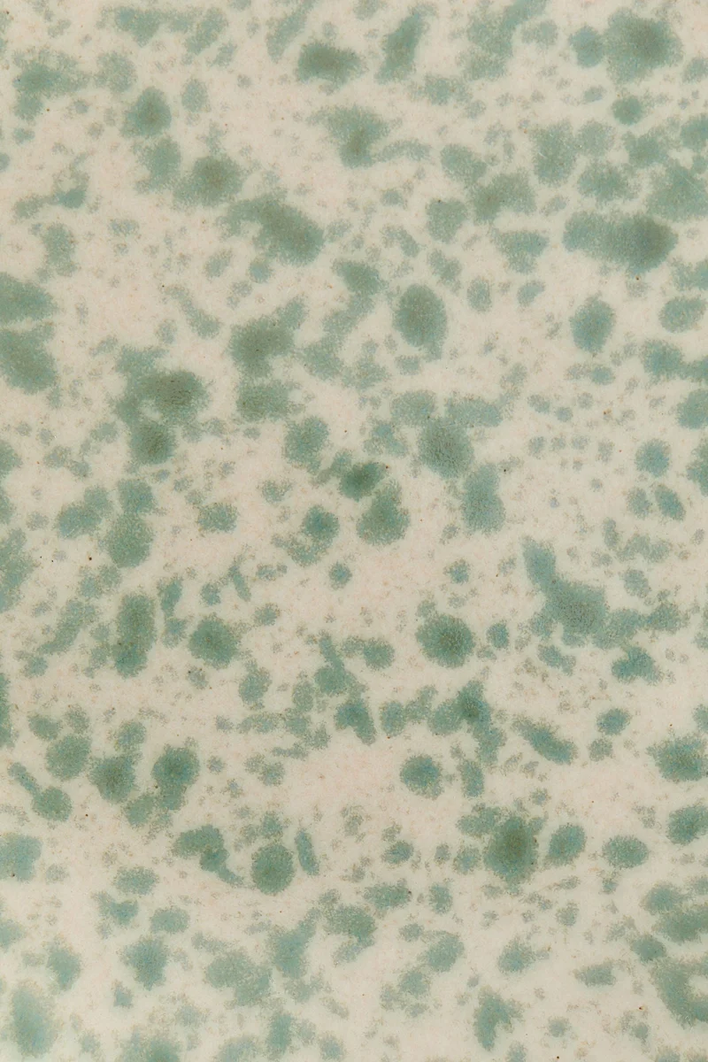 H&M Stoneware starter plate