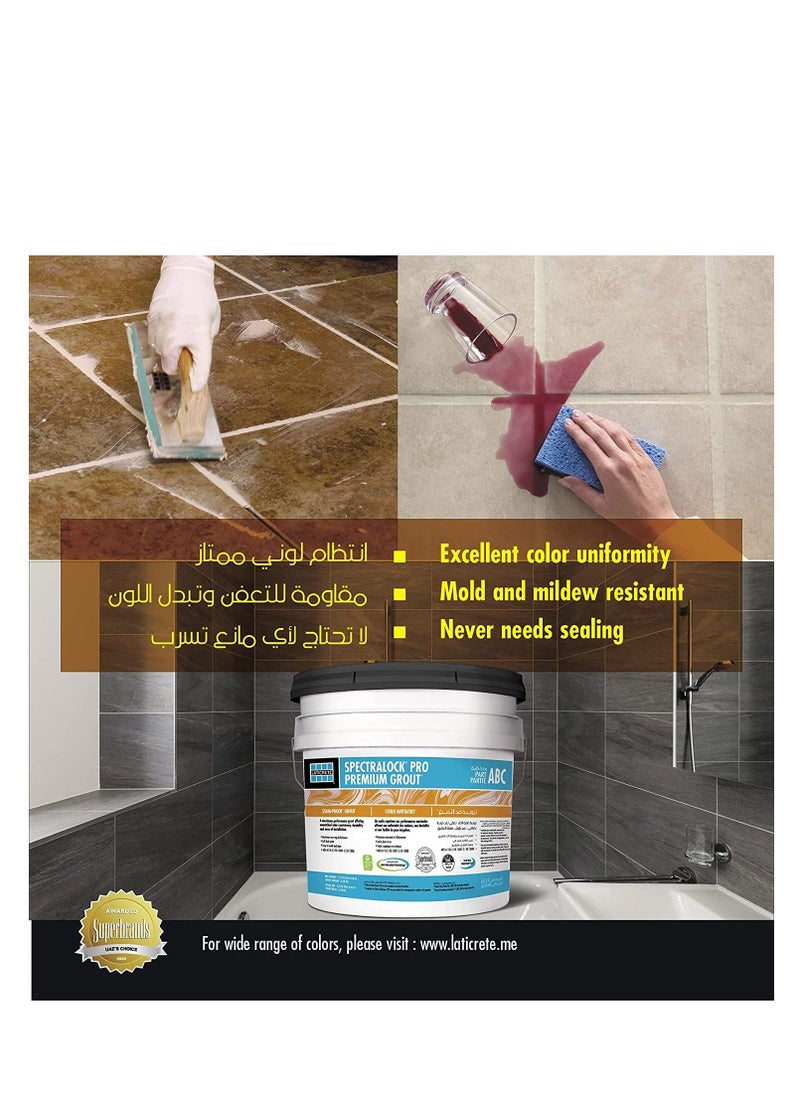 LATICRETE SPECTRALOCK Pro Premium Grout Epoxy grout 78 Sterling Silver  - Image 2