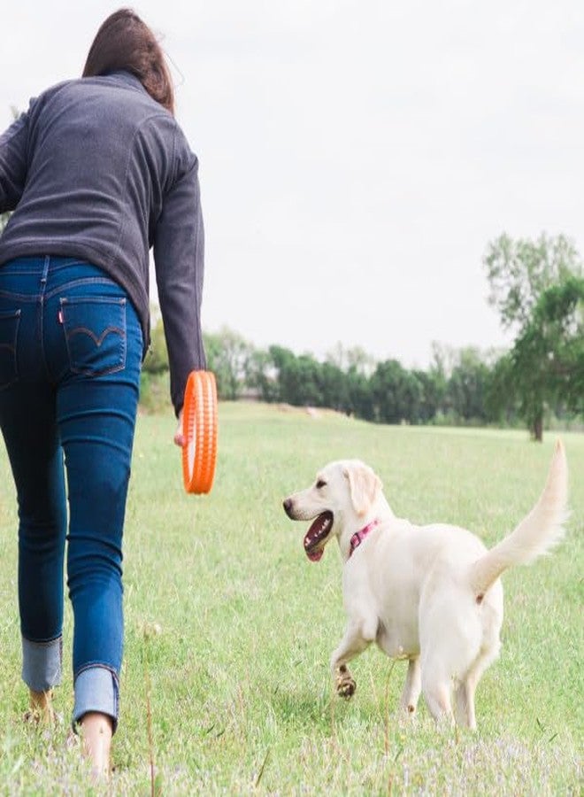 Chuckit! Rugged Fetch Wheel Dog Toy Medium - Image 2