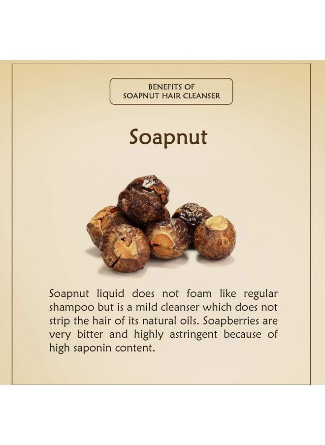 إنشنت ليفنج - منظف الشعر Soapnut - شامبو عضوي لتقوية الشعر من الجذور - 100 جرام (مجموعة من قطعتين) - Image 1