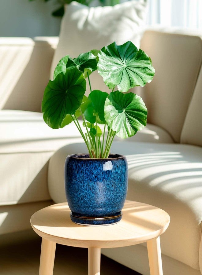 SQOWL Ceramic Planter 8 Inch - Pot for Indoor Outdoor Plants Round Ceramic Plant Pot with Drainage Hole and Saucer Modern Flower Pot Glazed Blue - Image 2