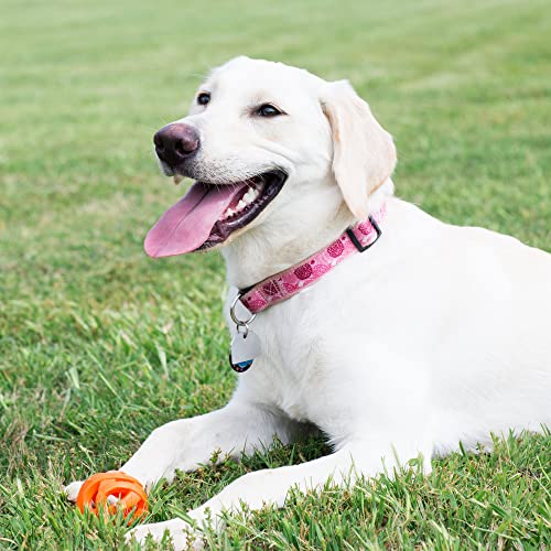 Chuckit! Air Fetch Ball Dog Toy - Size Large - For Dogs 60-100 lbs - Bouncy and Durable - Hollow Design - 3-inch Diameter - Pack of 1 - Image 2