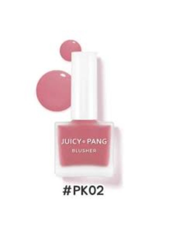 A'Pieu Juicy Pang Water Blusher PK02 9g - Image 2