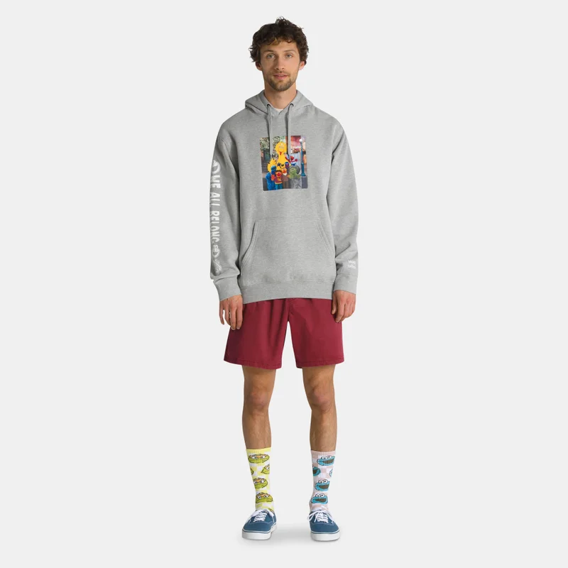 VANS Men's Sesame Street Hoodie