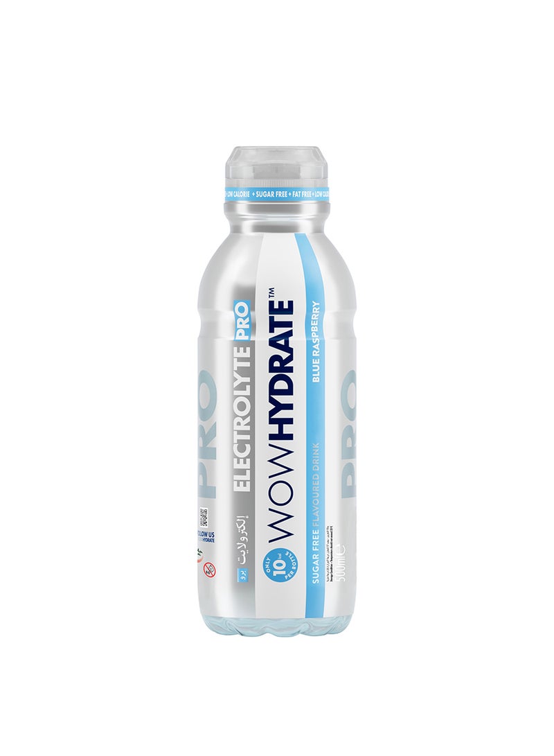 WOW Hydrate فيتامينات أساسية خالية من السكر منخفضة السعرات الحرارية ماكس هيدراشن 12 × 500 مل توت أزرق - Image 2