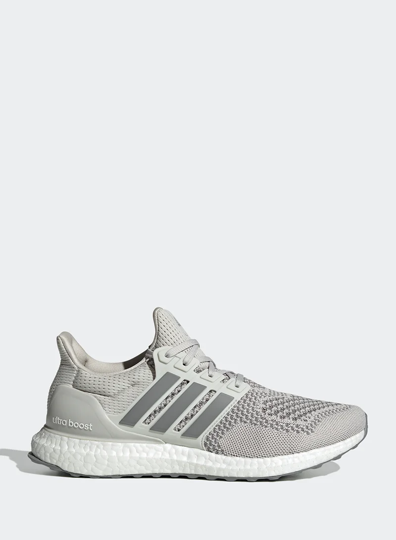 Adidas Ultraboost 1.0
