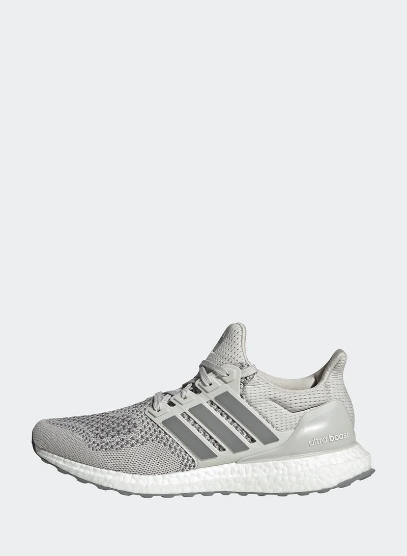 Adidas Ultraboost 1.0