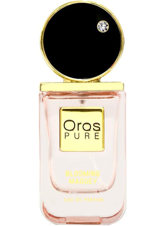 سعر ومواصفات أرماف عطر بيور بلومنج EDP (Z0FFE4EDF9C3CACD34C03Z) على Noon EG