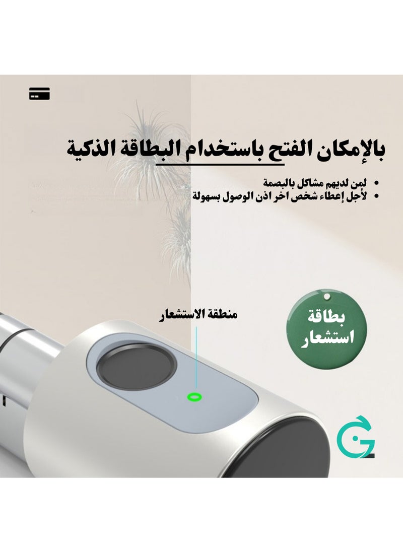 Smart Fingerprint Lock Compatible With Tuya App