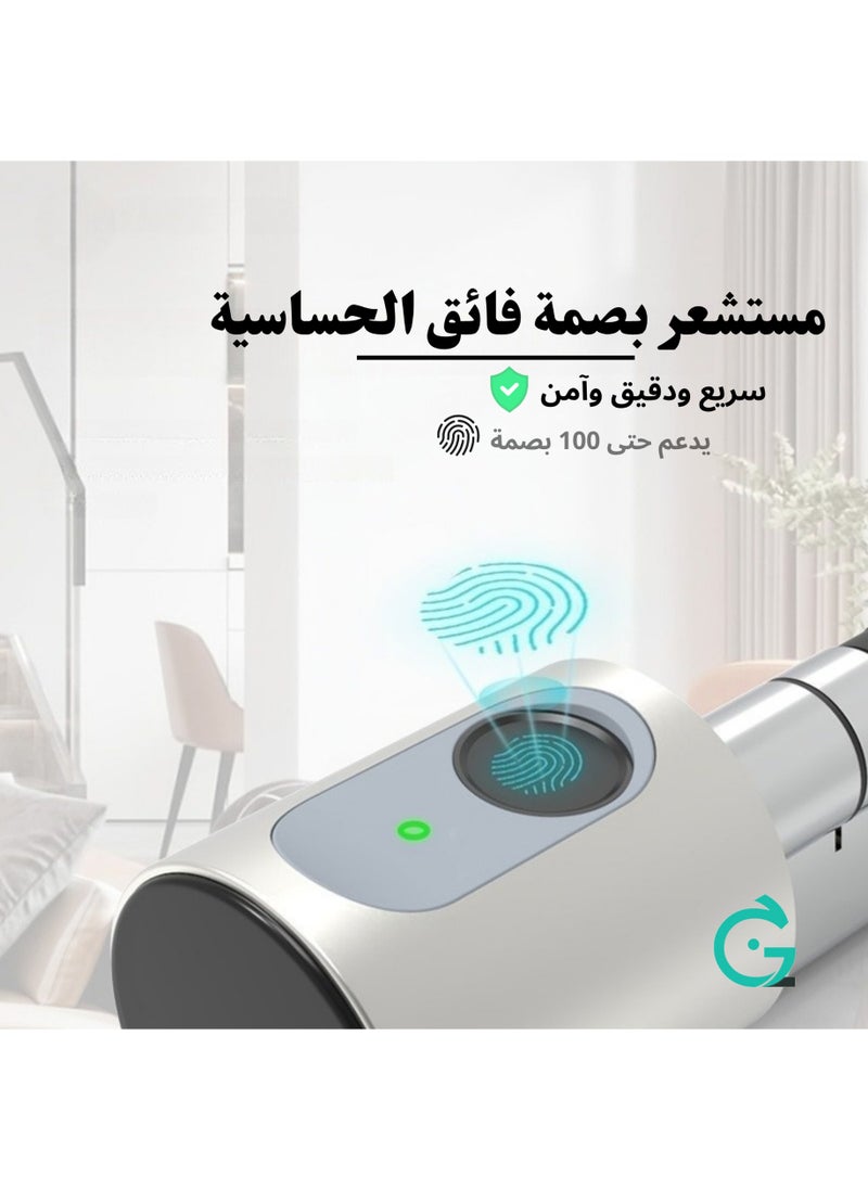 Smart Fingerprint Lock Compatible With Tuya App