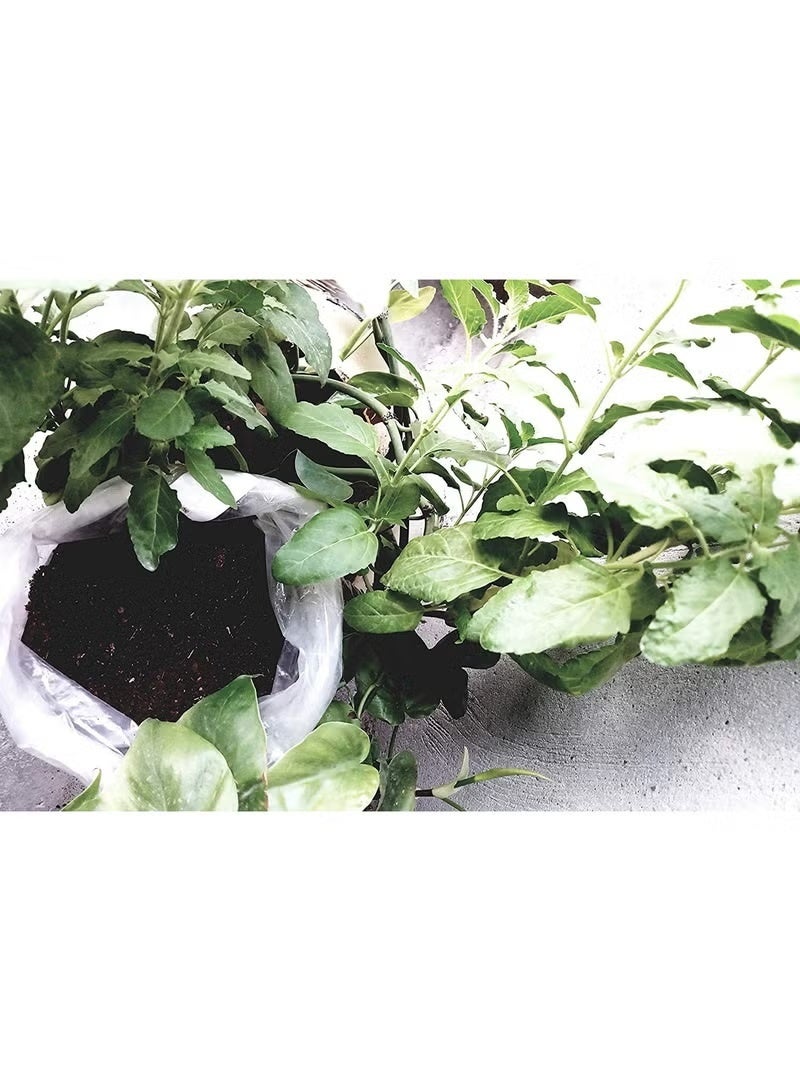 تربة خاصة عالية الجودة للنباتات الجديدة والعناية وإصلاح المروج 4 كيلو - Image 4