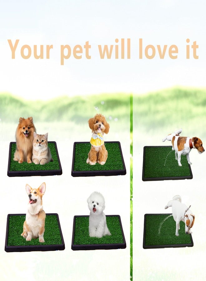 NESIGHTION Dog Grass Mat,Pet Toilet,Dog Potty Grass,Drainage Pet Toilet,Replace Pets Toilets,Suitable for The Vast Majority of Dogs and Cats.25 * 20 * 2 in - Image 5