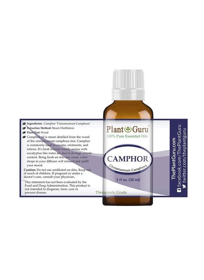Plant Guru Camphor Essential Oil 1 oz / 30 ml 100% Pure Undiluted Therapeutic Grade. for Skin, Body, Hair Growth and Aromatherapy Diffuser.  - Image 2