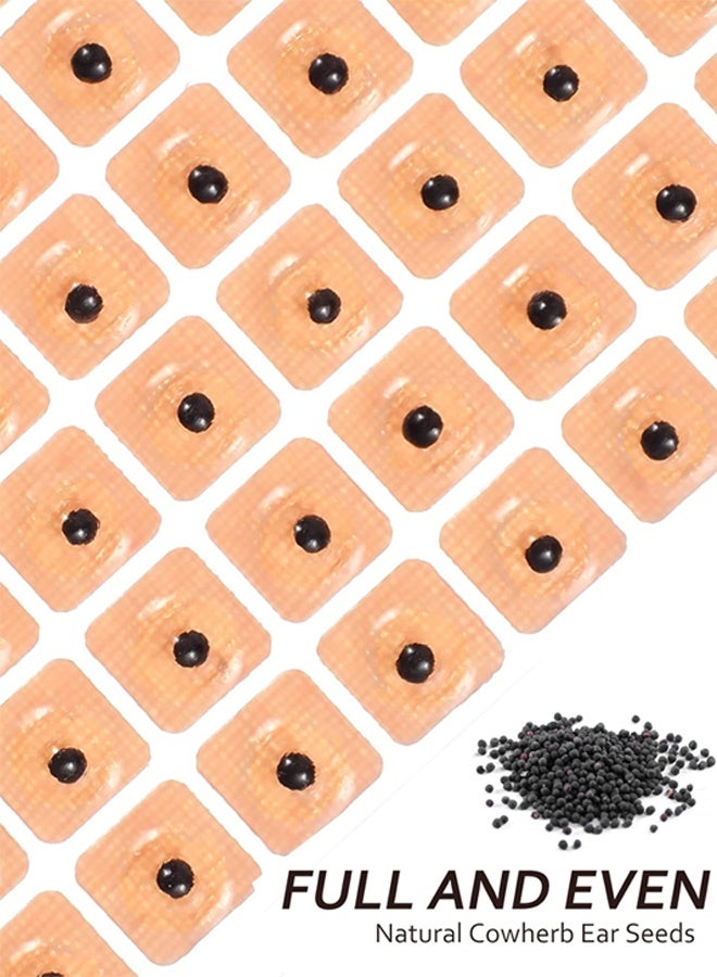 مجموعة أدوية الأذن المزودة بضغط تدليك بالخيوط، بحبيبات البصق (10 أوراق)، 600 علامة حسابية - Image 2