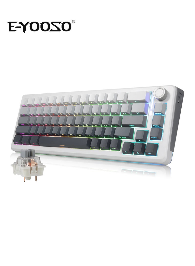 E-YOOSO Z-68 Tri-Mode Wireless RGB Gaming Keyboard, 67 Keys, Hot-Swap, PBT Compact Mechanical Keyboard, Dedicated Knob Control, 5-Layer Noise Dampening, Gradient Grey (Silverwood Switch) - Image 1