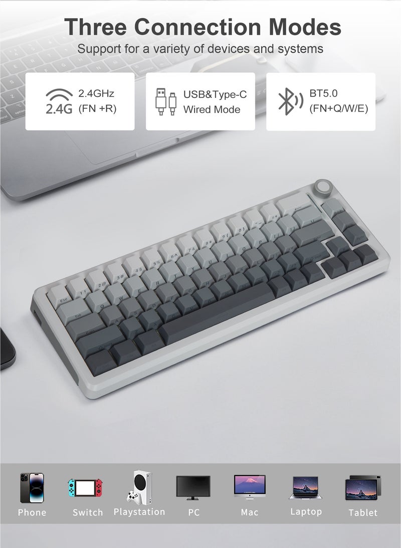 E-YOOSO Z-68 Tri-Mode Wireless RGB Gaming Keyboard, 67 Keys, Hot-Swap, PBT Compact Mechanical Keyboard, Dedicated Knob Control, 5-Layer Noise Dampening, Gradient Grey (Silverwood Switch) - Image 4