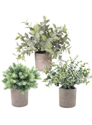 3 Pack Potted Plants Artificial Eucalyptus Millettia Dielsiana Ta Song Grass in Pots Faux Potted Herbs Small House Plants 22cm Tall for Indoor Greenery Tabletop Home Office Desk Decor Centerpiece - pzsku/Z1007383D007C45040639Z/45/1745374367/c0df331d-db44-4f8b-9b62-50e3c8c91984