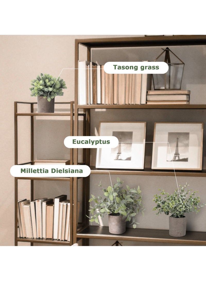 3 Pack Potted Plants Artificial Eucalyptus Millettia Dielsiana Ta Song Grass in Pots Faux Potted Herbs Small House Plants 22cm Tall for Indoor Greenery Tabletop Home Office Desk Decor Centerpiece