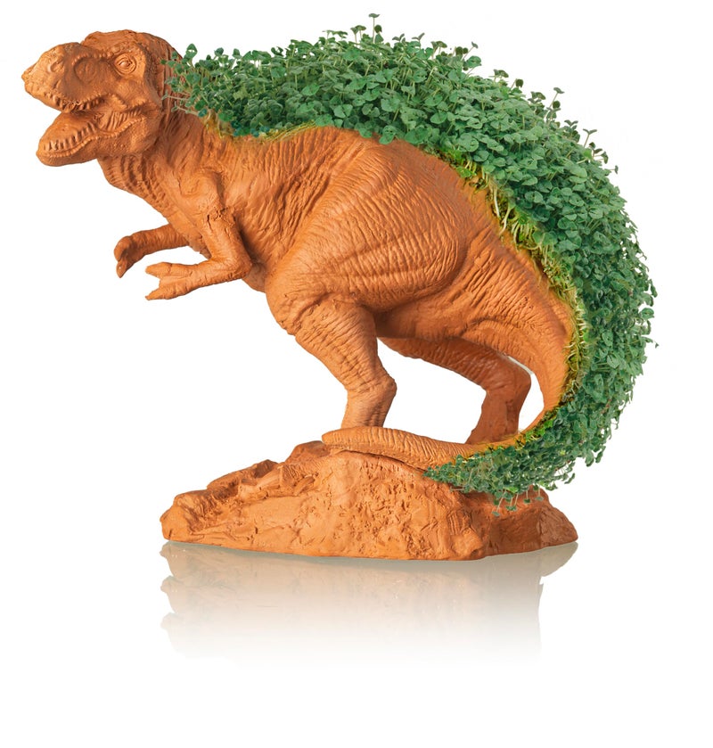 Chia Pet T-Rex - Tyrannosaurus with Seed Pack, Decorative Pottery Planter, Easy to Do and Fun to Grow, Novelty Gift, Perfect for Any Occasion - Image 4