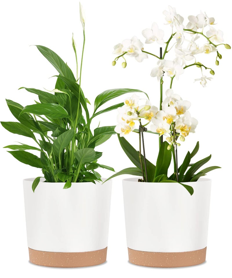 kubvici 2 Pack 8 Inch Planters for Indoor Plants, Plastic Flower Pots Plant Pots Indoor with Drainage Saucer for Outdoor Garden Home Plant, White 8â€ - Image 1