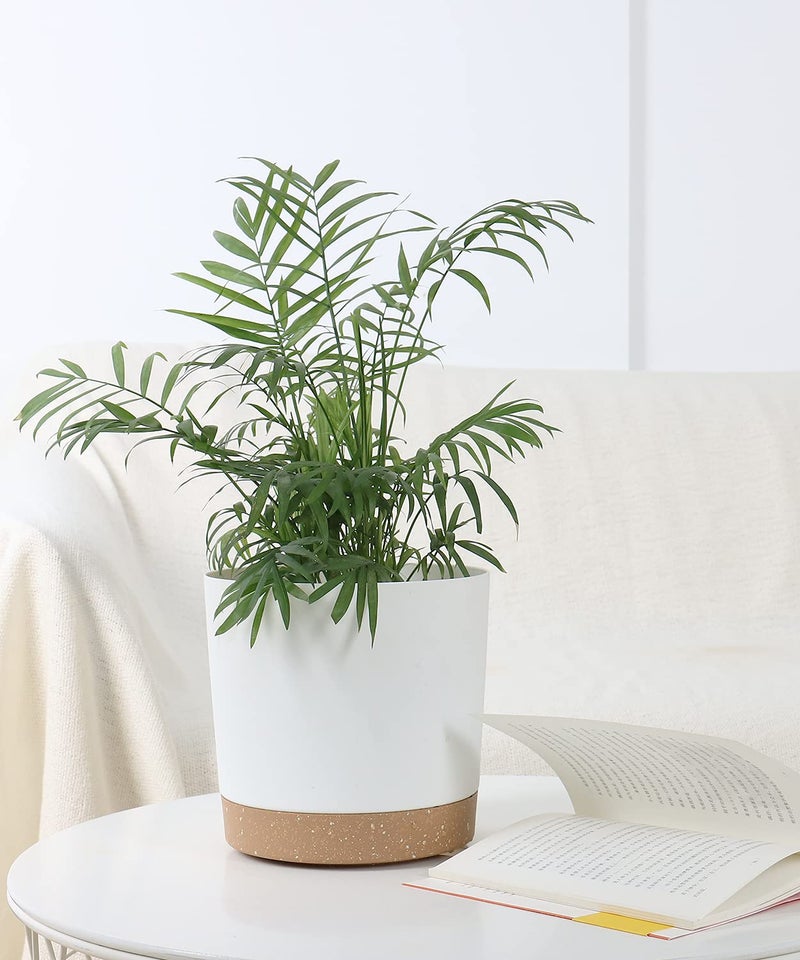 kubvici 2 Pack 8 Inch Planters for Indoor Plants, Plastic Flower Pots Plant Pots Indoor with Drainage Saucer for Outdoor Garden Home Plant, White 8â€ - Image 5
