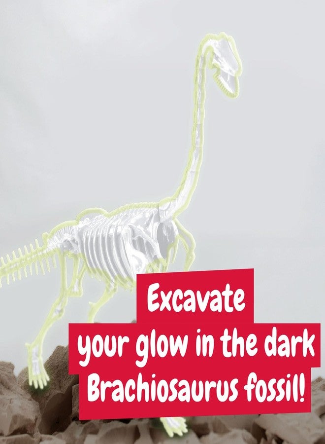 Science4you Brachiosaurus Fossil Digging Kit for Kids +6 Years - Dinosaur Fossil Dig Kit, Glow-in-The-Dark Brachiosaurus Fossils, Excavation Kit, Stem Toys, Games, Gifts for Kids Age 6 7 8+ - Image 5