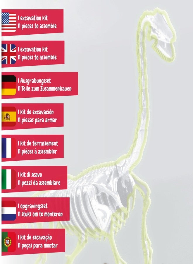 Science4you Brachiosaurus Fossil Digging Kit for Kids +6 Years - Dinosaur Fossil Dig Kit, Glow-in-The-Dark Brachiosaurus Fossils, Excavation Kit, Stem Toys, Games, Gifts for Kids Age 6 7 8+ - Image 3