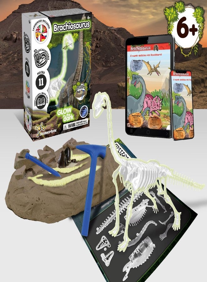 Science4you Brachiosaurus Fossil Digging Kit for Kids +6 Years - Dinosaur Fossil Dig Kit, Glow-in-The-Dark Brachiosaurus Fossils, Excavation Kit, Stem Toys, Games, Gifts for Kids Age 6 7 8+ - Image 2