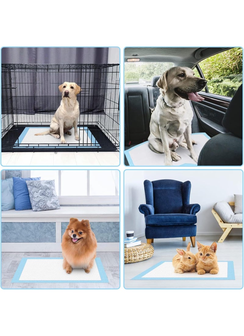 Mumoo Bear Puppy Training Pads Super Absorbent Disposable - Image 5