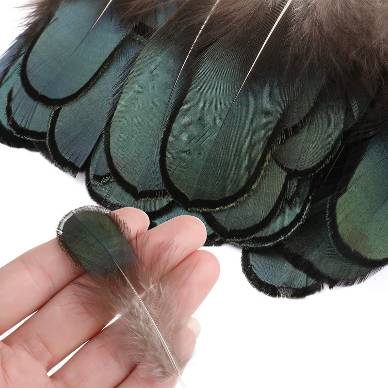 MWOOT 9 Styles Assorted Crafts Feathers, 180Pcs DIY Dreamcatcher Crafts Art Decor Feathers, DIY Earring Wings Carnival Party Mask Activities Project Accessories Small Feather - Mixed Green Blue Brown - Image 5