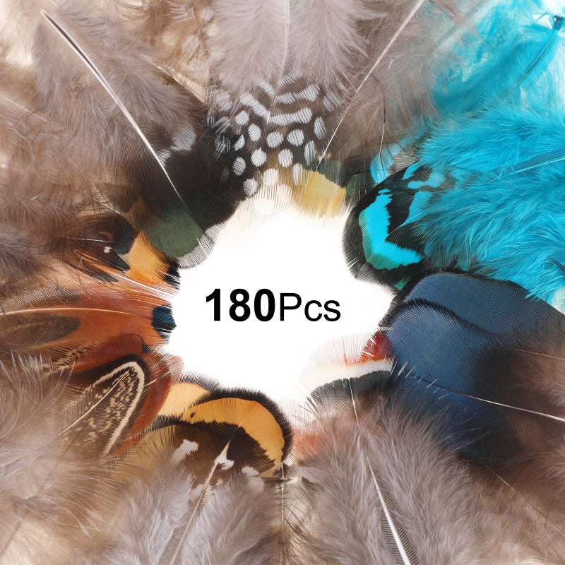 MWOOT 9 Styles Assorted Crafts Feathers, 180Pcs DIY Dreamcatcher Crafts Art Decor Feathers, DIY Earring Wings Carnival Party Mask Activities Project Accessories Small Feather - Mixed Green Blue Brown - Image 2