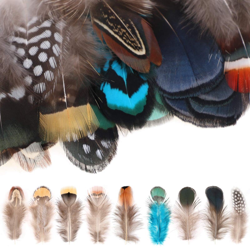 MWOOT 9 Styles Assorted Crafts Feathers, 180Pcs DIY Dreamcatcher Crafts Art Decor Feathers, DIY Earring Wings Carnival Party Mask Activities Project Accessories Small Feather - Mixed Green Blue Brown - Image 3