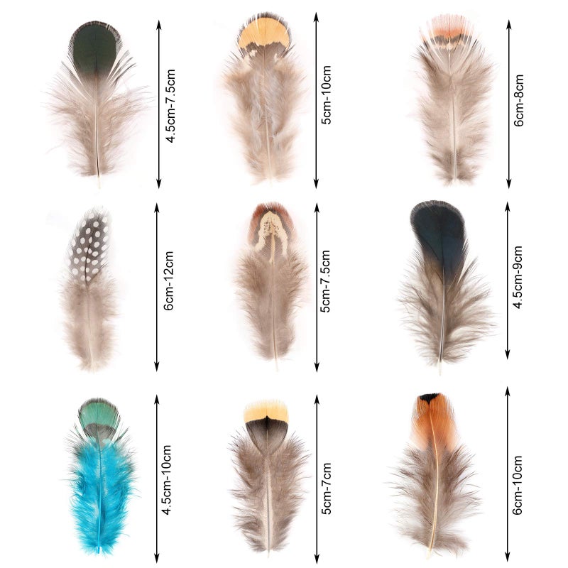 MWOOT 9 Styles Assorted Crafts Feathers, 180Pcs DIY Dreamcatcher Crafts Art Decor Feathers, DIY Earring Wings Carnival Party Mask Activities Project Accessories Small Feather - Mixed Green Blue Brown - Image 4