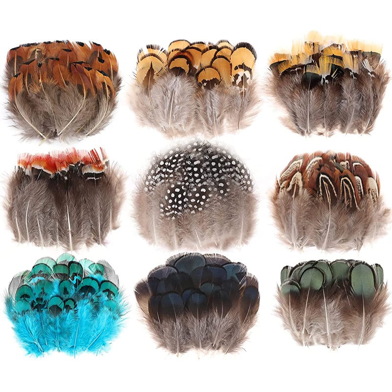 MWOOT 9 Styles Assorted Crafts Feathers, 180Pcs DIY Dreamcatcher Crafts Art Decor Feathers, DIY Earring Wings Carnival Party Mask Activities Project Accessories Small Feather - Mixed Green Blue Brown - Image 1