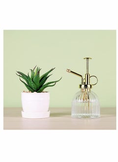 KASTWAVE Glass Plant Spray Bottle, Clear Glass Water Spray Bottle with Gold Top Pump Small Watering Can, Small Plant Sprayer Mister for Indoor Outdoor House Plant - 1Pcs  - Image 5