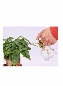 KASTWAVE Glass Plant Spray Bottle, Clear Glass Water Spray Bottle with Gold Top Pump Small Watering Can, Small Plant Sprayer Mister for Indoor Outdoor House Plant - 1Pcs  - Image 3