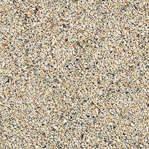 Wild Delight Fine Sunflower Chips, 5 lb - Image 2