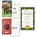 Think Tank Scholar AwardWinning First Words Opposites Flash Cards for Kids Ages 28 36 Durable Cards with Real Pictures Preschool Kindergarten Early Elementary Learning - Image 3