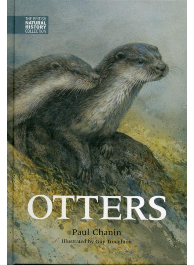 Otters : 2 