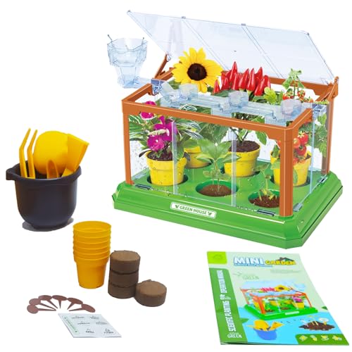 EXBEPE Kids Gardening Kit Greenhouse Growing Terrarium Kit Plant Growing Set Discovery Educational Gardening Gift for Boy & Girl - Image 2