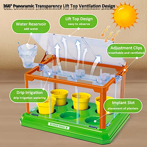 EXBEPE Kids Gardening Kit Greenhouse Growing Terrarium Kit Plant Growing Set Discovery Educational Gardening Gift for Boy & Girl - Image 4