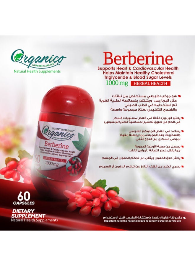Organico 60 Capsules Berberine 1000 Mg  - Image 4