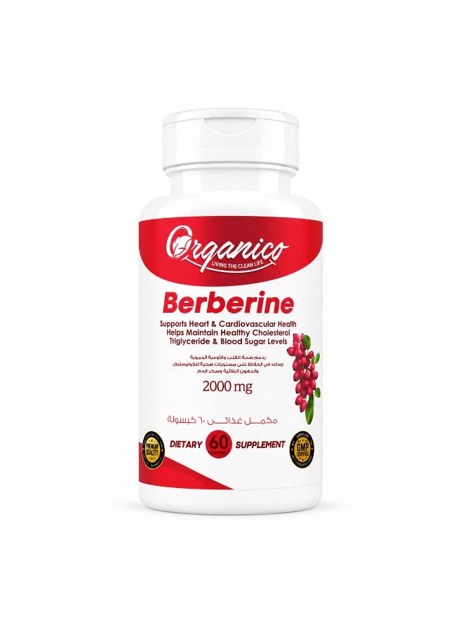 Organico Berberine 2000 mg capules - Image 1