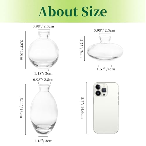 Hewory Glass Bud Vases Set of 3, Hewory Cute Clear Small Vases Handmade, Mini Glass Flower Vase for Floral Arrangement, Tiny Centerpiece for Wedding Party Events Home Office Table Decor (Not Include Flower) - Image 3