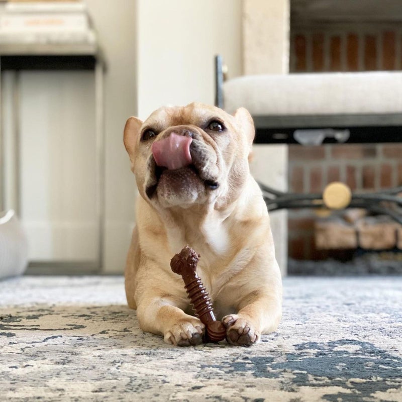 Nylabone Power Chew Groove Bone - Dog Toys for Aggressive Chewers - Durable Dog Toy for Small Breeds - Small Dog Chew Toys - Flavor Medley, Small, Up to 25 Ibs. (1 Count) - Image 2