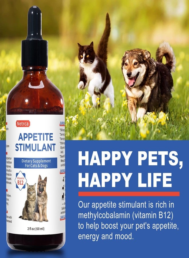 Netrca Appetite Stimulant for Dogs & Cats - Vitamin B12 (Methylcobalamin) Liquid Supplement - Boosts Appetite, Energy, and Mood - 60 ml - Image 3