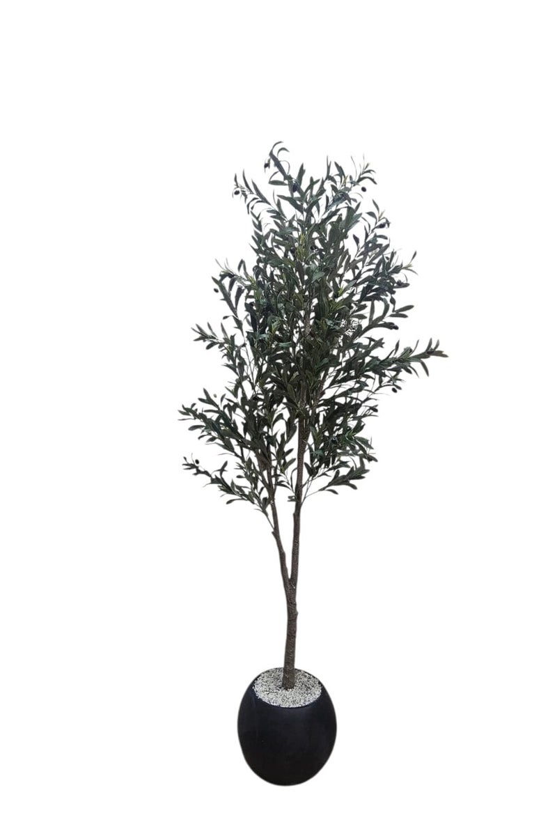 AL KHALDIYA Fruitful olive tree with a large black pot with an attractive design, make your home more elegant, 220 cm  - Image 5