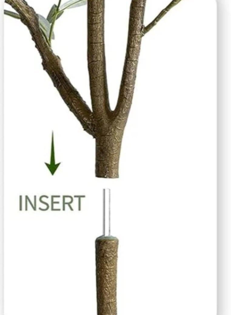 بيت الرواسم شجر زيتون مثمر مع اصيص اسود كبير بتصميم جذاب  اجعل منزلك اكثر اناقة 220 سم - Image 5