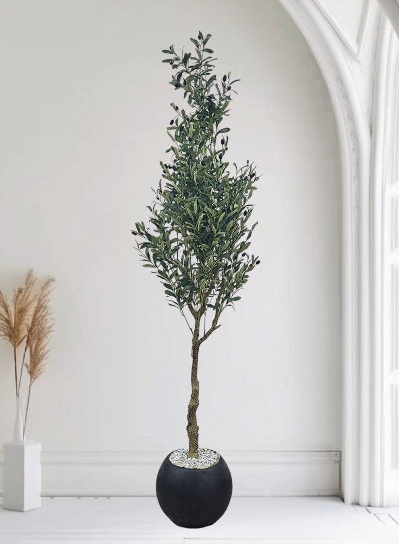 بيت الرواسم شجر زيتون مثمر مع اصيص اسود كبير بتصميم جذاب  اجعل منزلك اكثر اناقة 220 سم - Image 4